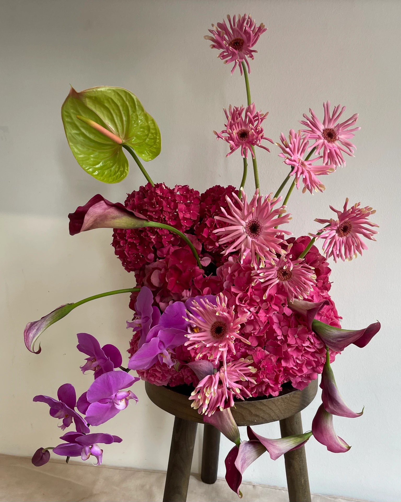 Pink Stool, Studio, Arrangement