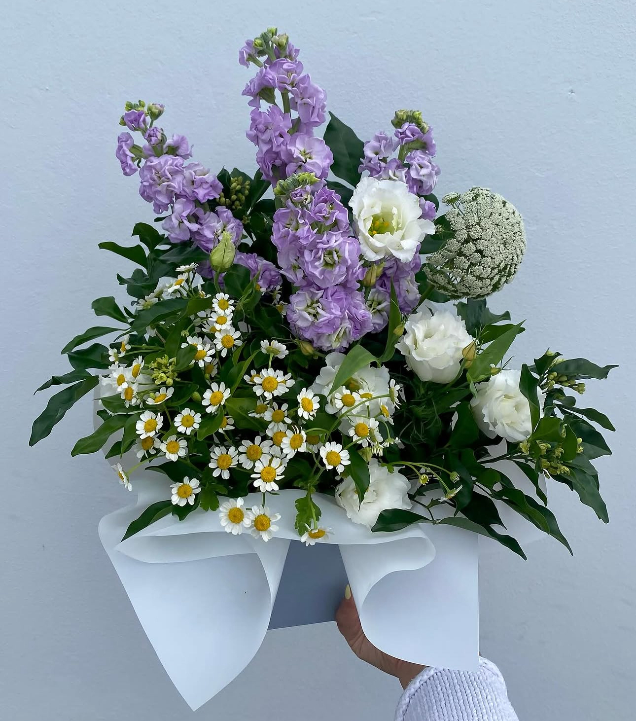 Stock, Studio, Gifting