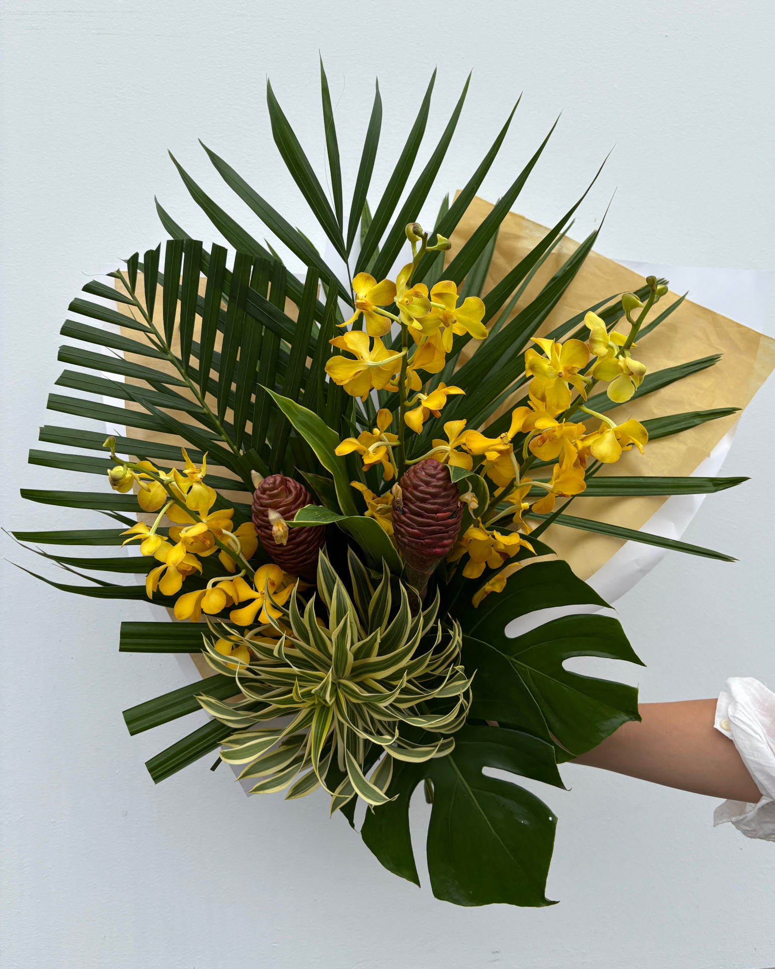Tropic, Studio, Bouquet