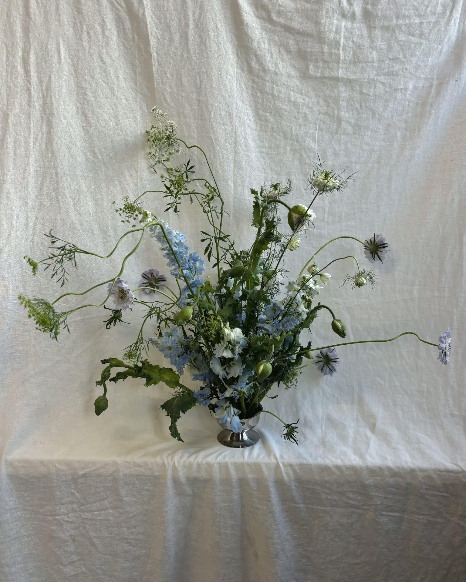 Nigella, Studio, Arrangement