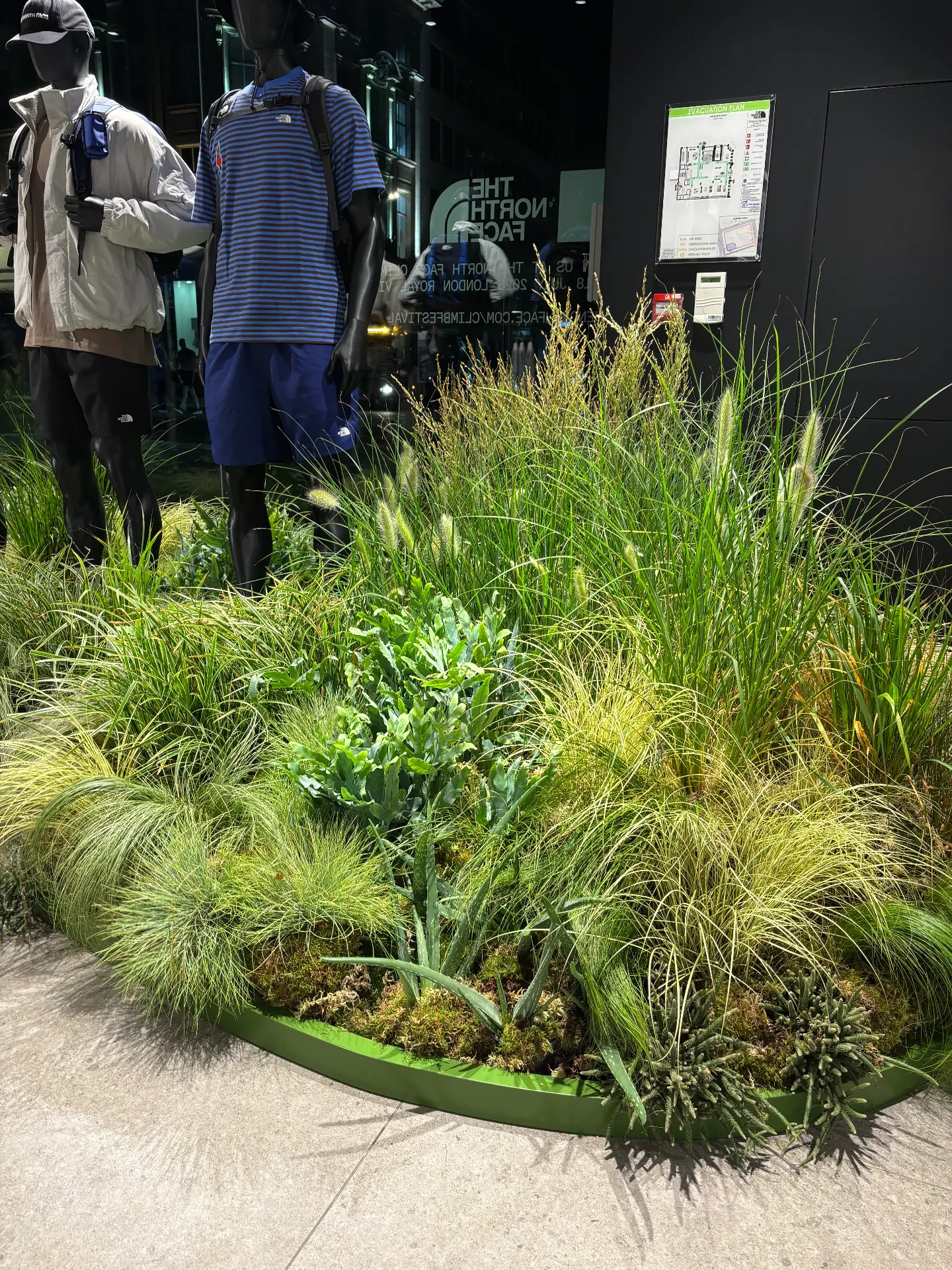 Grass Study, Retail, Detail